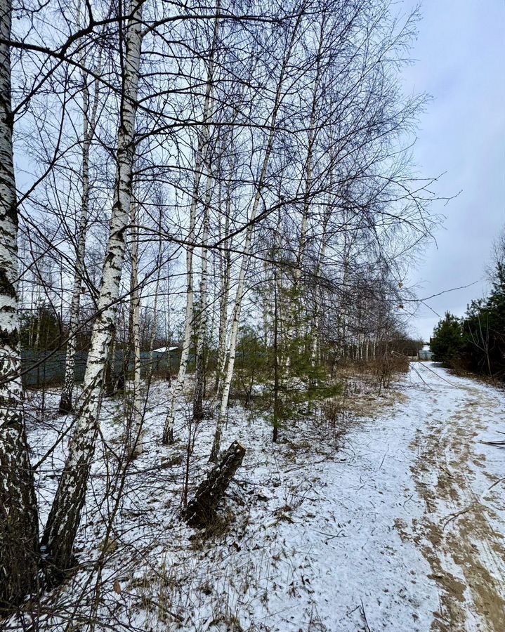 земля городской округ Богородский д Вишняково ул Железнодорожная 21 км, Электроугли, Носовихинское шоссе фото 3