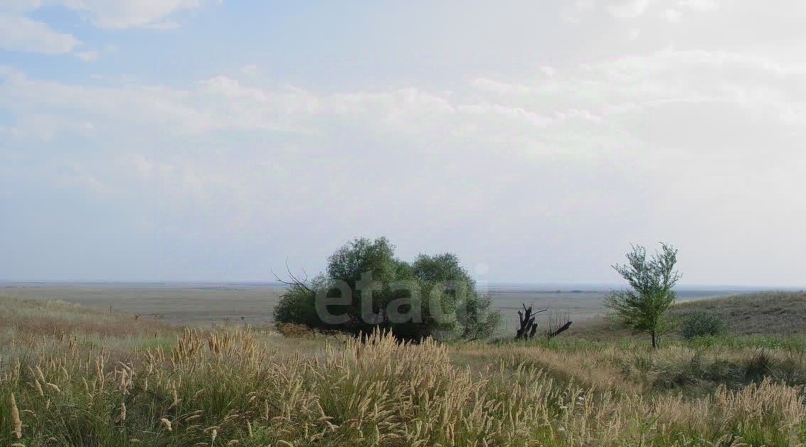 земля р-н Аксайский снт Родник Мишкинское с/пос, ул. Дачная фото 4