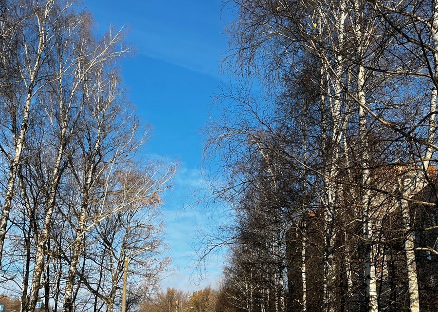 комната г Чебоксары р-н Ленинский городской округ Чебоксары, проспект Ивана Яковлева, 18 к 1 фото 5