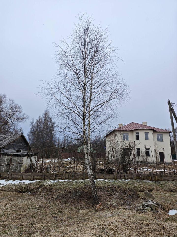 земля г Лобня ш Рогачевское Дмитровский городской округ фото 15