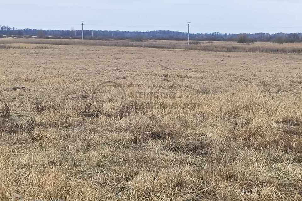 земля р-н Нурлатский д. Единение фото 1