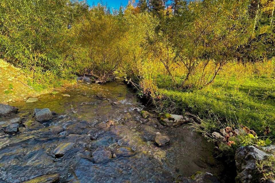 земля р-н Чемальский фото 1