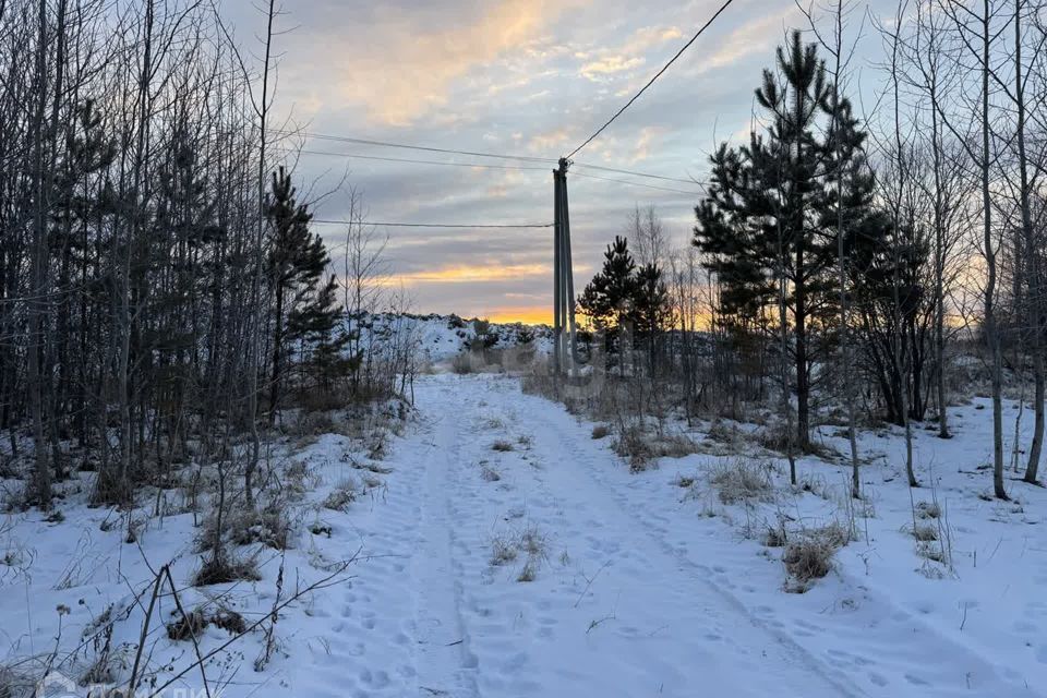 земля р-н Нижнетавдинский СТ Здоровье-3 фото 1