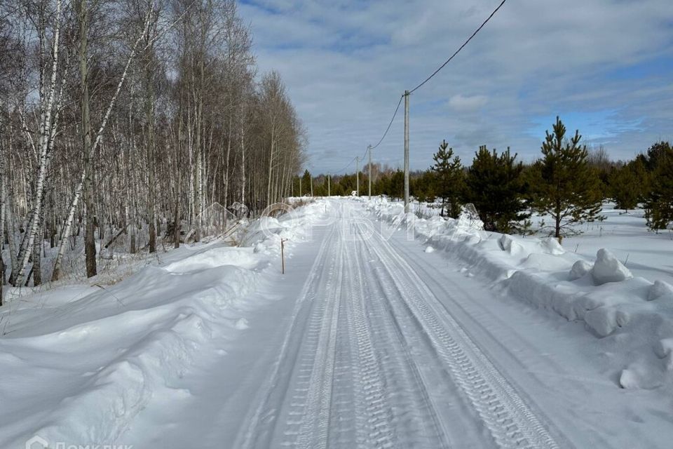 земля р-н Нижнетавдинский с. Тюнево фото 1