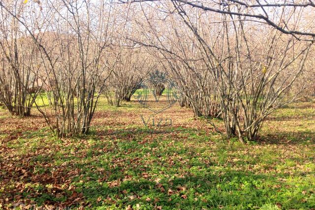 земля ул Мира 4 Джубгское городское поселение фото