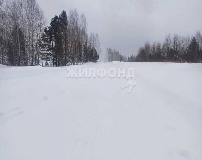 земля г Томск Томск городской округ, Октябрьский фото 1