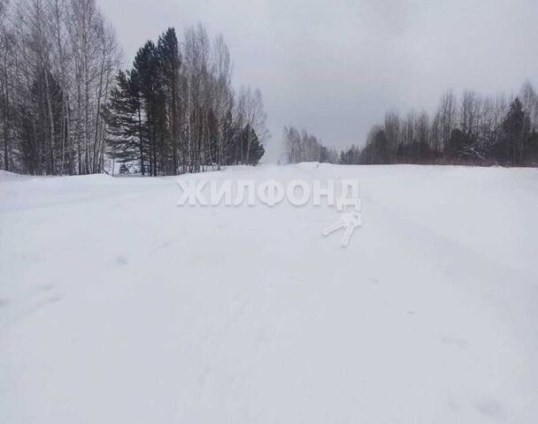 земля Томск городской округ, Октябрьский фото