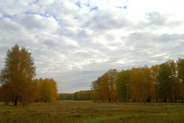 земля р-н Омский д Алексеевка Центральная фото