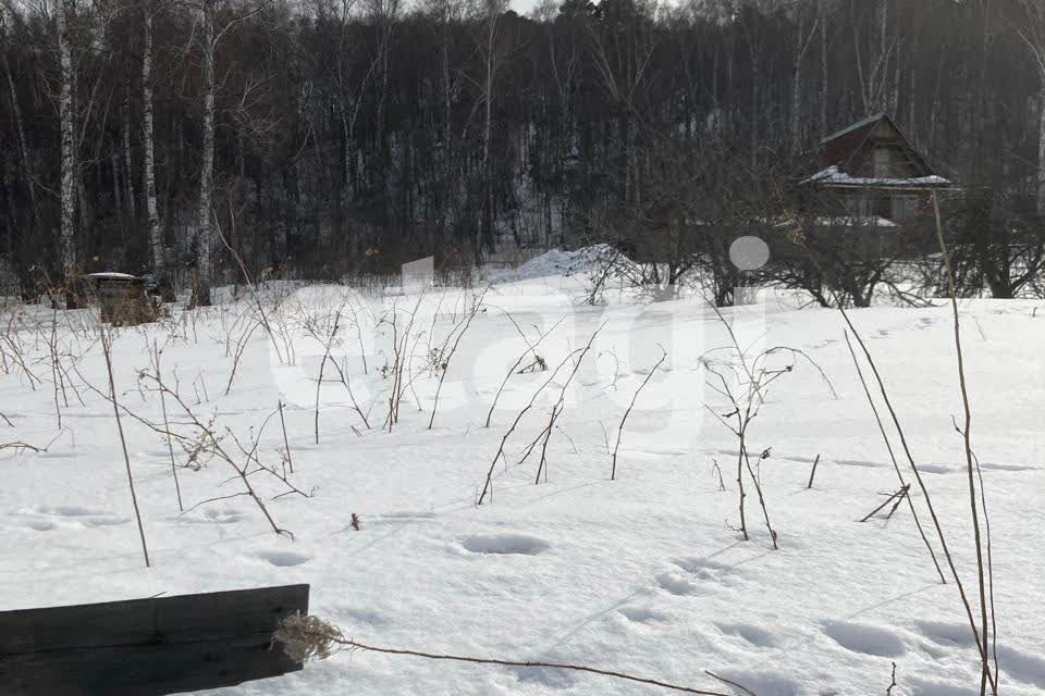 земля р-н Березовский днт Родничок-2 Красноярск городской округ, проезд Вольный, 1б/95 фото 4