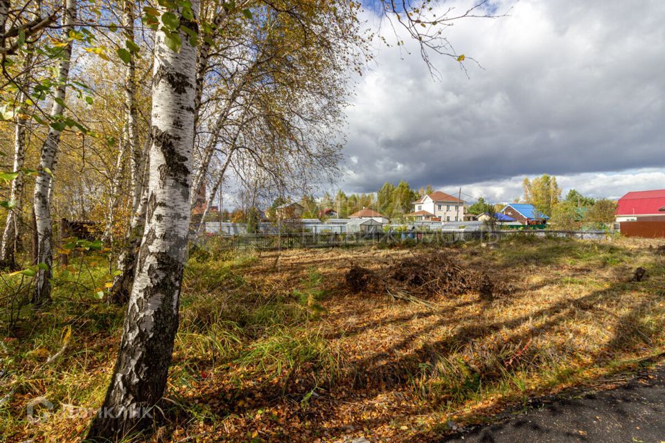 земля г Тюмень Тюмень городской округ, СНТ Березняки фото 1