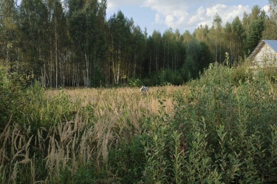 земля р-н Калининский СТ Тверичанка фото 1