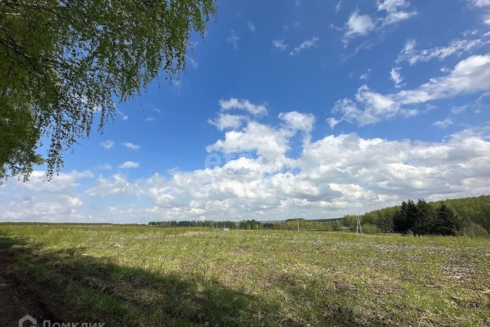 земля р-н Богородский д. Килелей фото 1