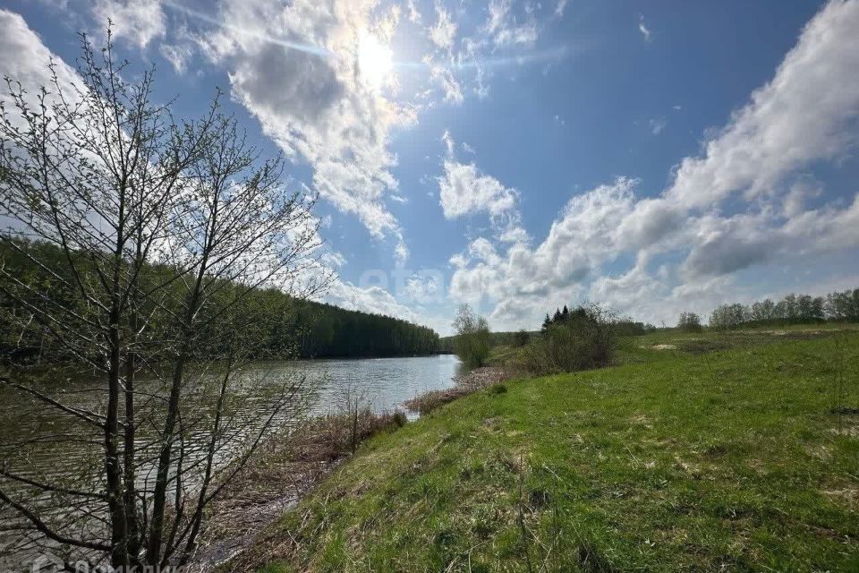 земля р-н Богородский д. Килелей фото 1