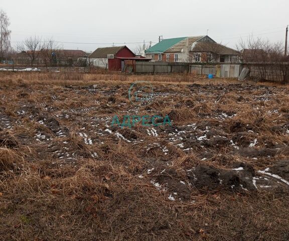 городское поселение посёлок Чернянка, рп. Чернянка фото