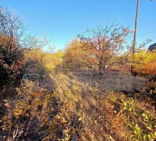 земля Саратов городской округ, Елшанка м-н фото