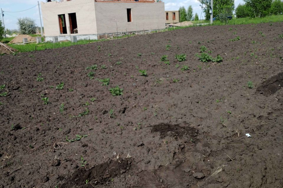 земля г Ульяновск р-н Заволжский Лебединая, городской округ Ульяновск фото 1