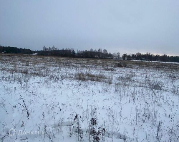 земля д Городище Зелёная фото