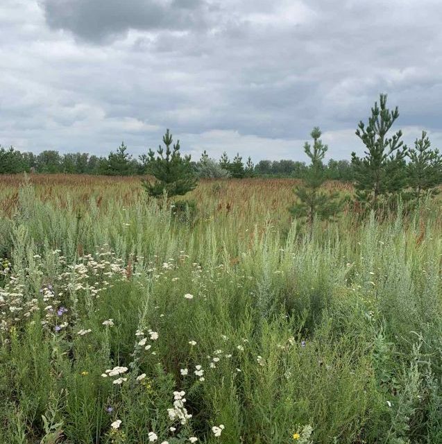 земля г Курган Курган городской округ, Весенняя, 22а фото 1