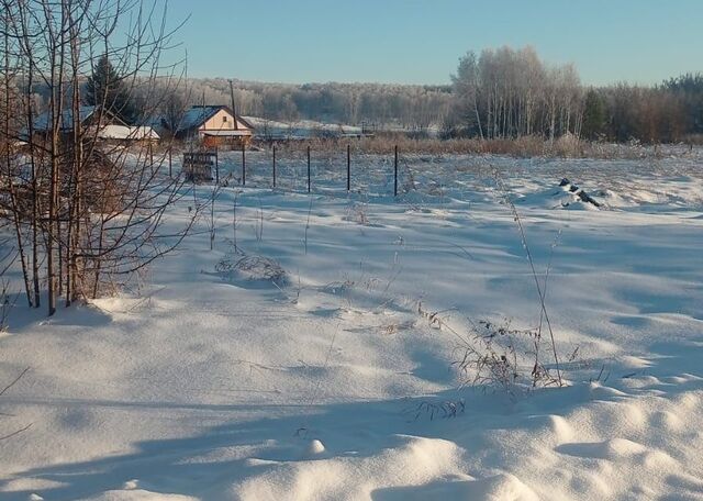 земля Заречная, Новосибирск городской округ фото