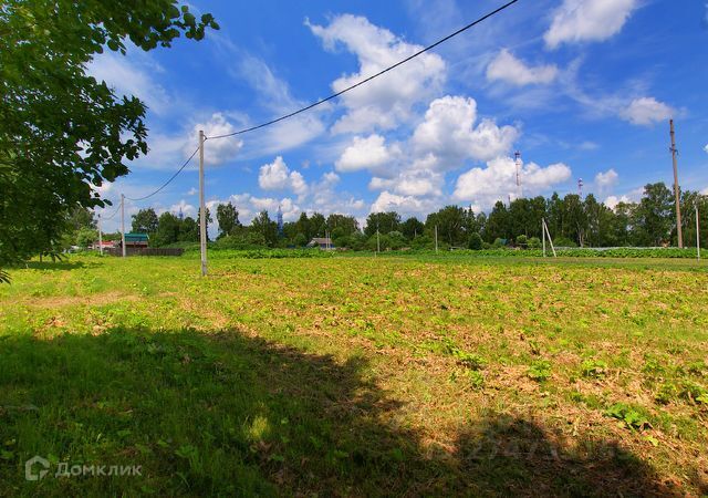 земля р-н Белокалитвинский п Сосны ул Сосновая 21 фото 1