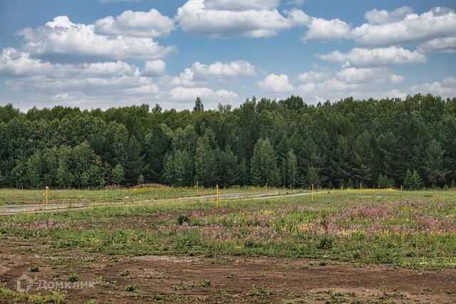 земля Таганрог городской округ, ДНТ Мичуринец-1 фото