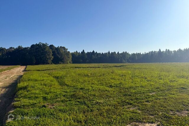 земля пер 12-й Новый 6 Таганрог городской округ фото