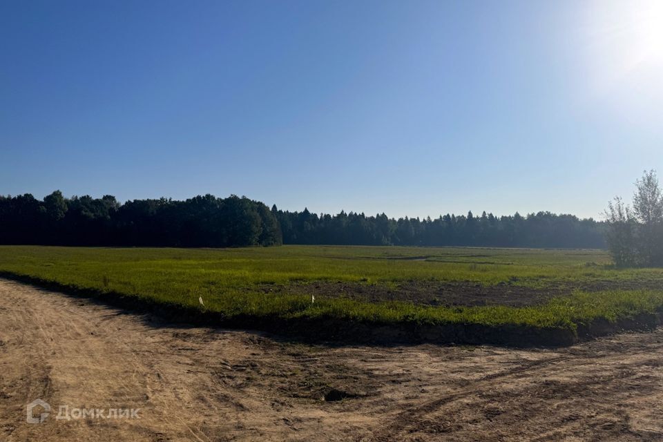 земля р-н Аксайский СТ Ростсельмашевец-2 фото 1