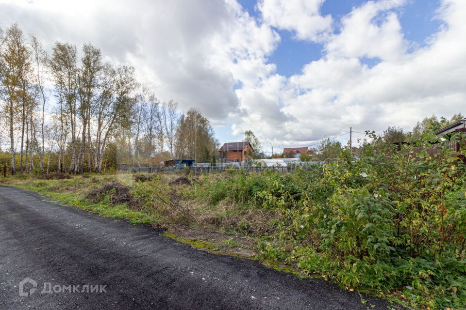 земля г Тюмень Тюмень городской округ, СНТ Березняки фото 2