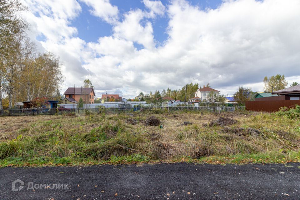 земля г Тюмень Тюмень городской округ, СНТ Березняки фото 4