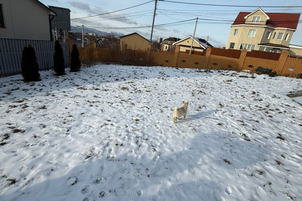 земля г Южно-Сахалинск Южно-Сахалинск городской округ, улица Петра I, 9а фото 3