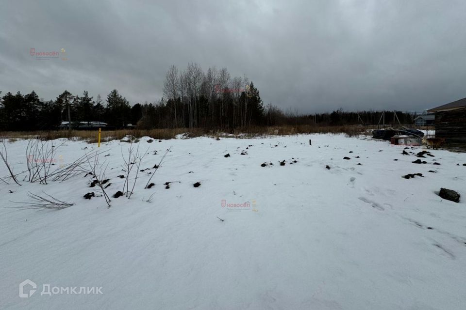 земля г Екатеринбург Екатеринбург городской округ, Садовый фото 4