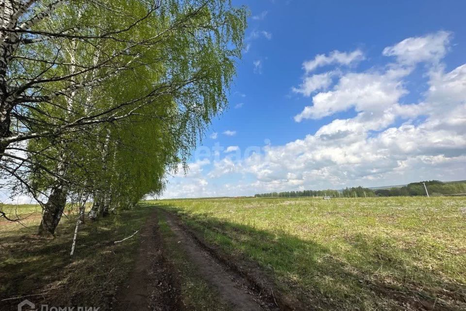 земля р-н Богородский д. Килелей фото 2