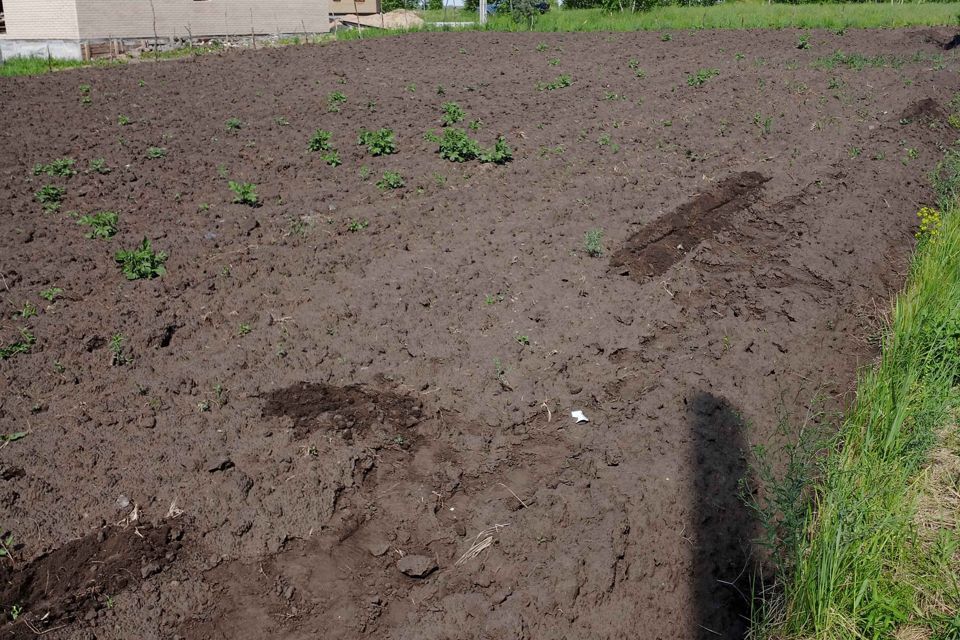 земля г Ульяновск р-н Заволжский Лебединая, городской округ Ульяновск фото 3