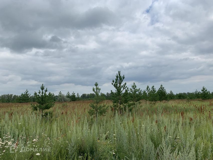 земля г Курган Курган городской округ, Весенняя, 22а фото 3