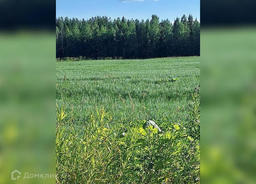 земля р-н Сыктывдинский с. Пажга фото 2