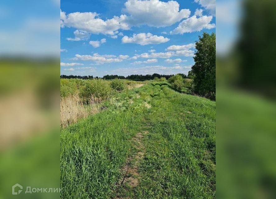 земля р-н Тюменский д Зубарева Центральная фото 3