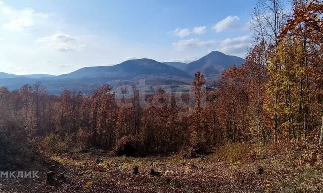 Геленджик городской округ, ДНТ Океан фото