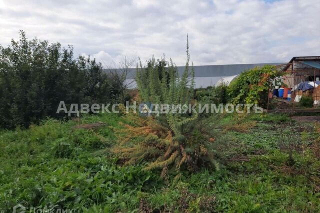 ул Новая 91 Тюмень городской округ, 1-я фото