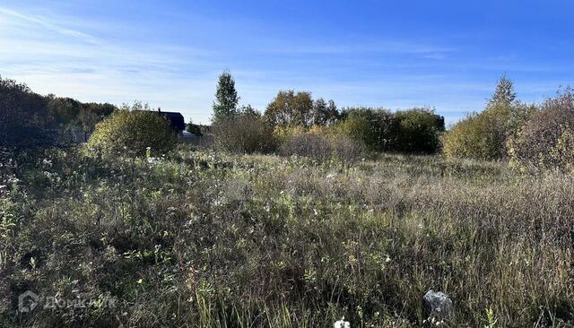 Тюмень городской округ, СНТ Светлячок фото