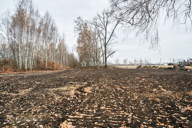 р-н Левобережный городской округ Воронеж, Славянова фото