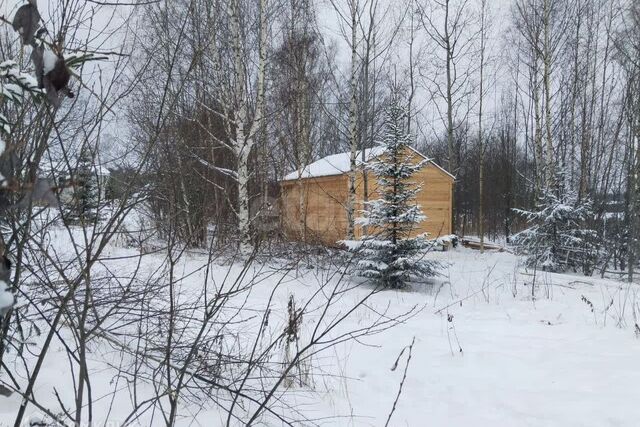 Киров городской округ, д. Шустовы фото