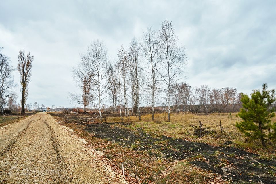 земля г Воронеж р-н Левобережный Масловка городской округ Воронеж, Славянова фото 1