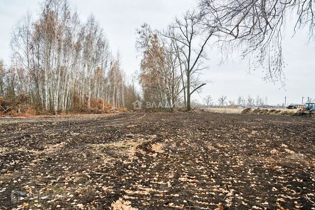 р-н Левобережный городской округ Воронеж, Славянова фото