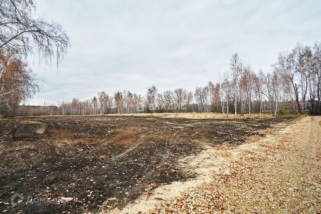 земля р-н Левобережный Масловка городской округ Воронеж, Славянова фото