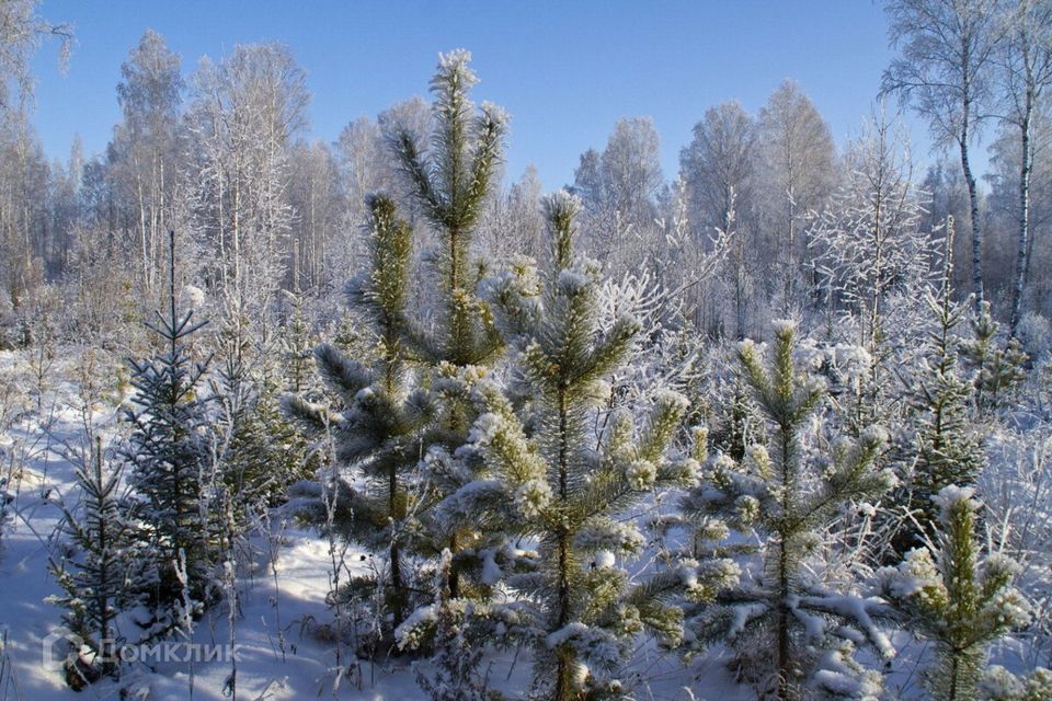 земля р-н Белоярский п Гагарский Life фото 1