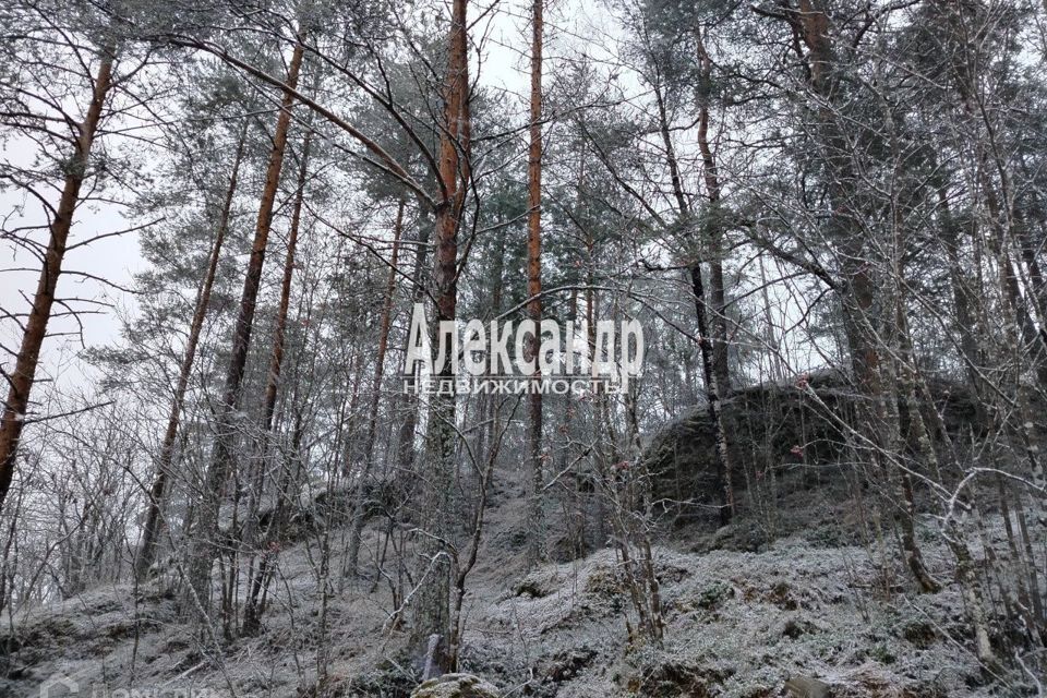 дом р-н Лахденпохский п Мийнала ул Полевая 4 фото 4