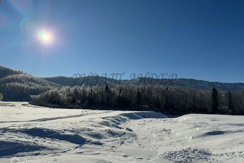 земля р-н Усть-Коксинский с Курдюм ул Мараловодов фото 3