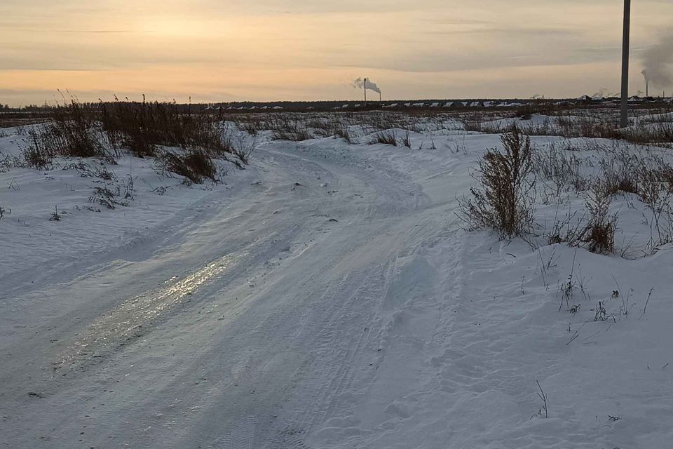 земля р-н Омский с. Надеждино фото 3