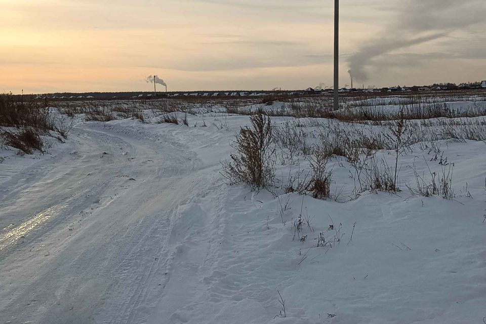 земля р-н Омский с. Надеждино фото 4