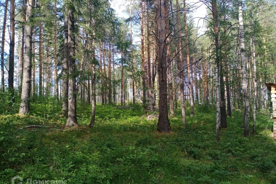 земля г Дегтярск ул Уральская 43 Дегтярск городской округ фото 3